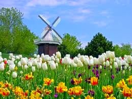 Holanda – primeiros passos