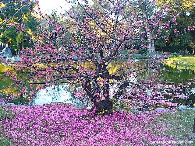 jardim japones buenos aires - O que fazer em Buenos Aires: principais pontos turísticos