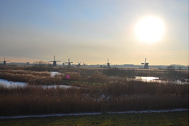 DSC 0421 - Kinderdijk: os verdadeiros moinhos holandeses