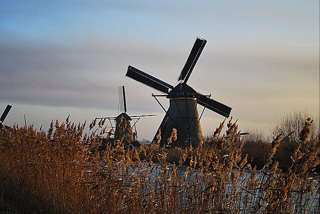 DSC 0512 - Kinderdijk: os verdadeiros moinhos holandeses