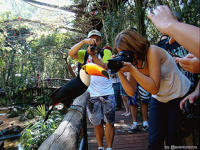 BlogTurFoz482 - Parque das Aves de Foz do Iguaçu