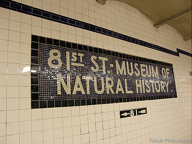 museu de história natural de nova york