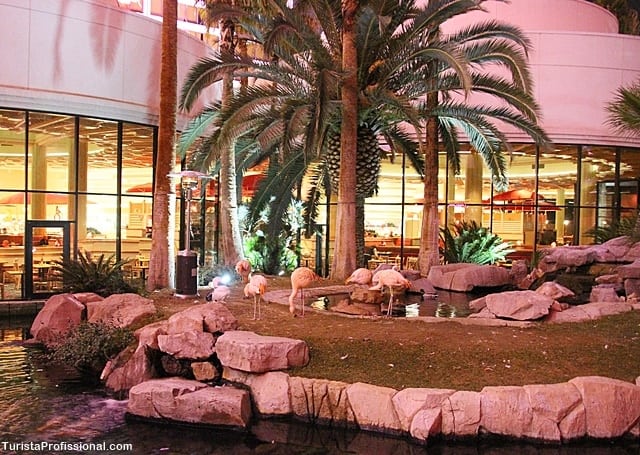 hotel flamingo - Dica de hotel em Las Vegas: Flamingo Hotel & Casino