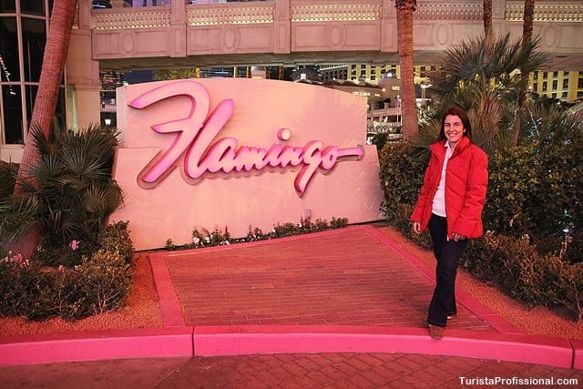 turista profissional 1 - Dica de hotel em Las Vegas: Flamingo Hotel & Casino