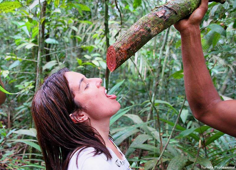 agua na amazonia - Sobre a Amazônia: curiosidades e fotos da maior floresta do mundo