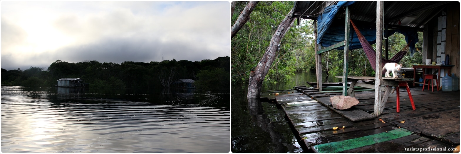 Viagem Floresta Amazônica - Turismo antropológico: dormir na casa de um ribeirinho em plena floresta amazônica