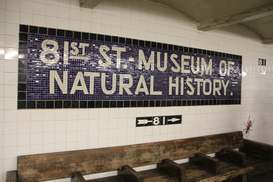 Metrô Nova York - Museu de História Natural de Nova York: boa opção para viagem com crianças