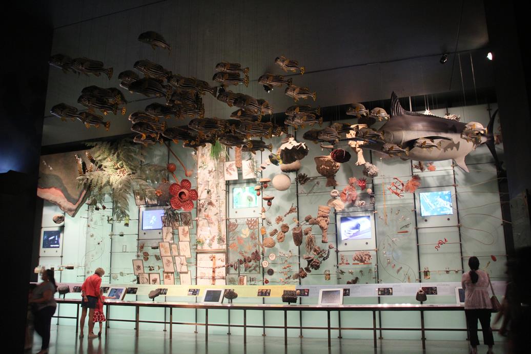 Museu História Natural de Nova York 5 - Museu de História Natural de Nova York: boa opção para viagem com crianças