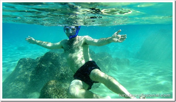 Olhares Fernando de Noronha um mundo embaixo dgua 3 - Fernando de Noronha: um mundo embaixo d'água
