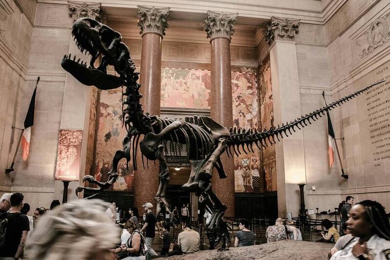 Museu de história natural de Nova York