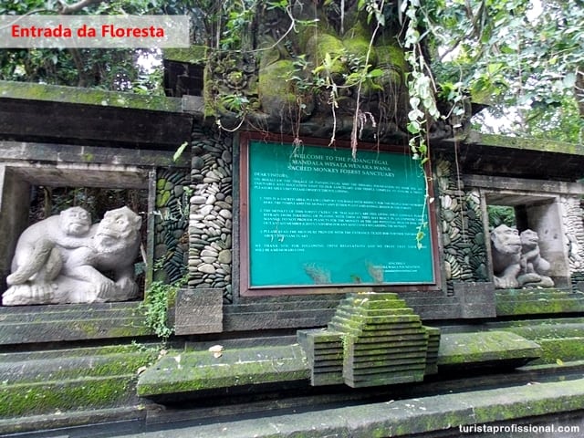 dicas Indonésia1 - Floresta dos Macacos, em Ubud