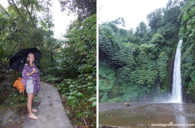 o que fazer em Bali - Norte de Bali: Lovina Beach e a cachoeira Gitgit