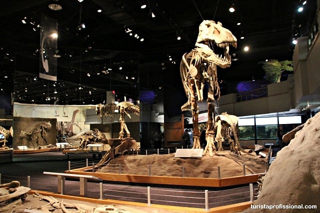 dicas Canadá - Seguindo os dinossauros do Canadá - Royal Tyrrel Museum
