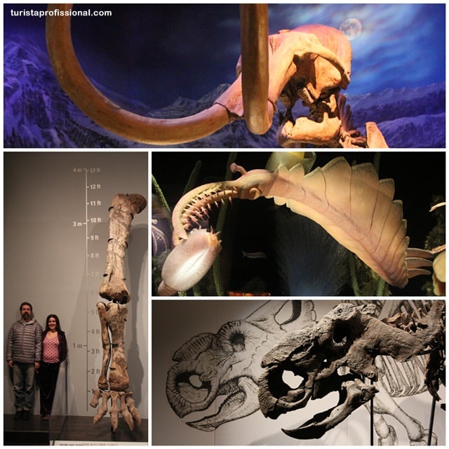 informações turísticas - Seguindo os dinossauros do Canadá - Royal Tyrrel Museum