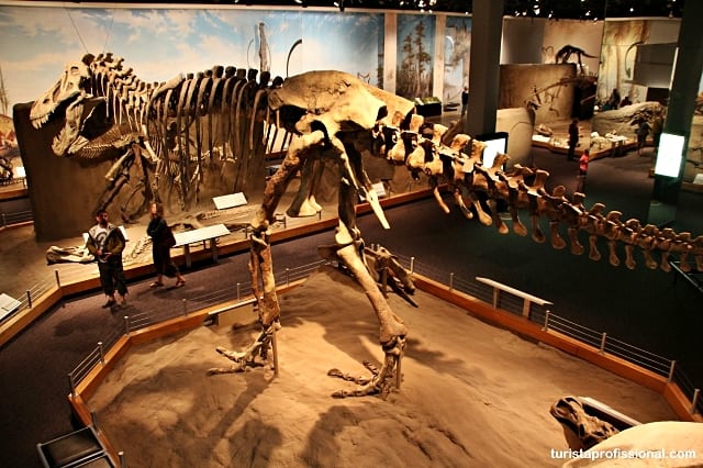 o que fazer no canadá - Seguindo os dinossauros do Canadá - Royal Tyrrel Museum