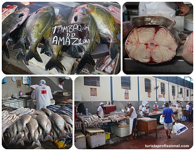 o que ver em Belém - Mercado Ver-o-Peso, Belém do Pará
