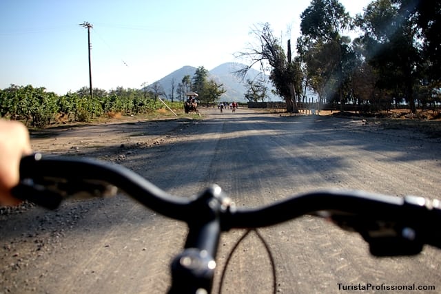passeio de bicicleta - Vinícola Santa Rita, Chile