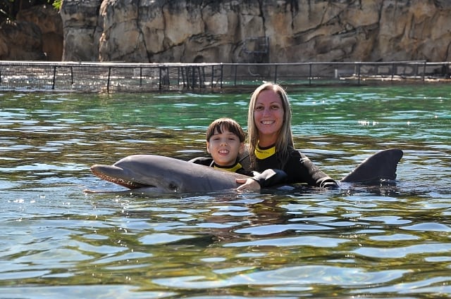 orlando com criança - As atrações do Discovery Cove em Orlando
