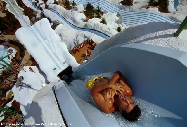 parque aquático disney - 15 atrações da Disney para quem gosta de adrenalina