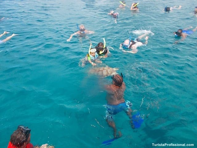 mergulho com tartarugas - Passeio de barco em Barbados