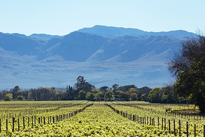 Rota dos vinhos na África do Sul