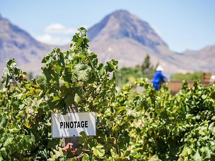 enoturismo africa do sul - Rota dos vinhos na África do Sul