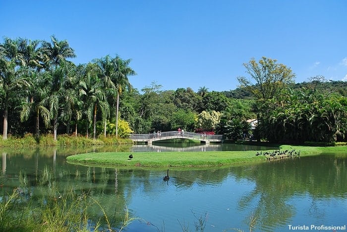 jardim de inhotim - Dicas para visitar Inhotim, o incrível museu a céu aberto em Brumadinho, MG