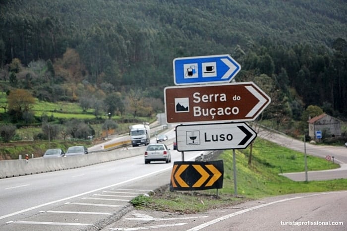 como chegar na serra do bucaco - Como chegar e o que visitar na Mata do Buçaco, Portugal