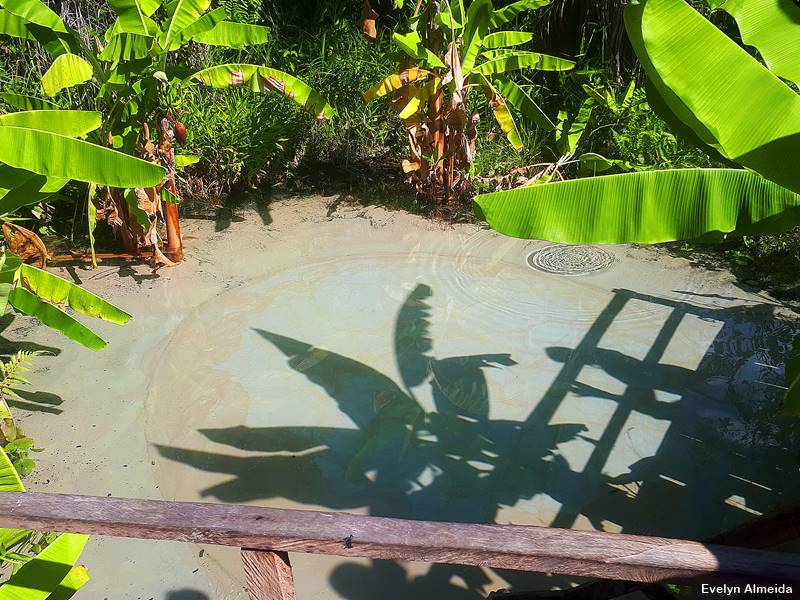 Fervedouro Encontro das aguas em Jalapao - Fervedouros do Jalapão: um sonho azul!