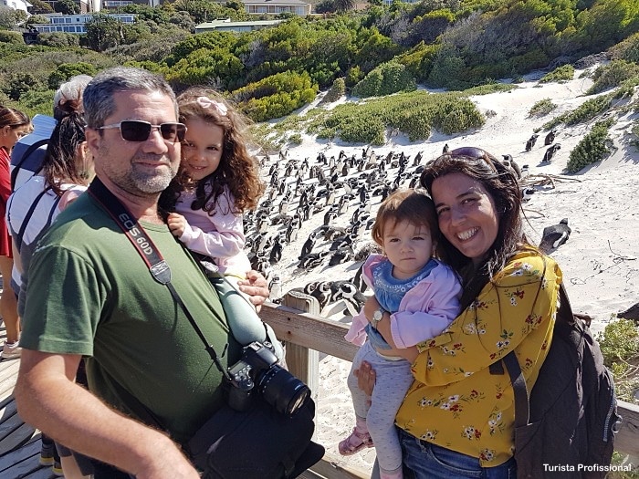Pinguins Cidade do Cabo - O que fazer em Cape Town, África do Sul