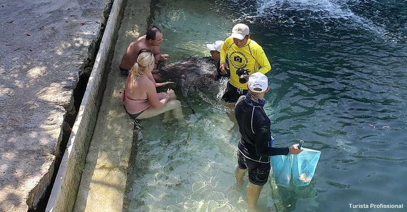 nadaar com arraias no xcaret - Parque Xcaret em Cancún: o que fazer