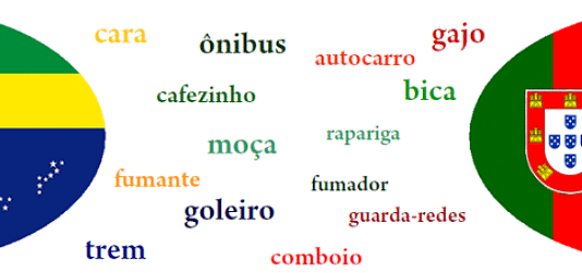 dicionário português de Portugal