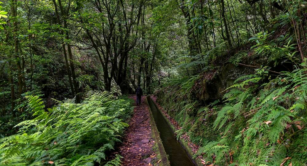 curiosidades da ilha da madeira levadas - 16 curiosidades da Ilha da Madeira