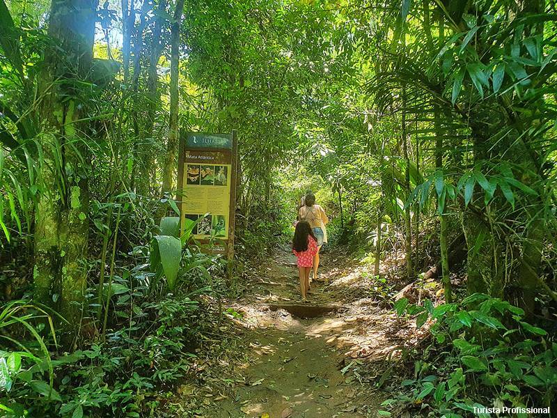 trilhas em ilhabela - Ilhabela, SP: guia de viagem completo!