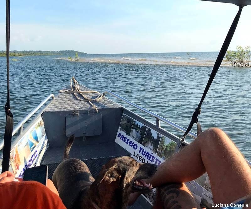 passeio de barco na amazonia - O que fazer em Alter do Chão