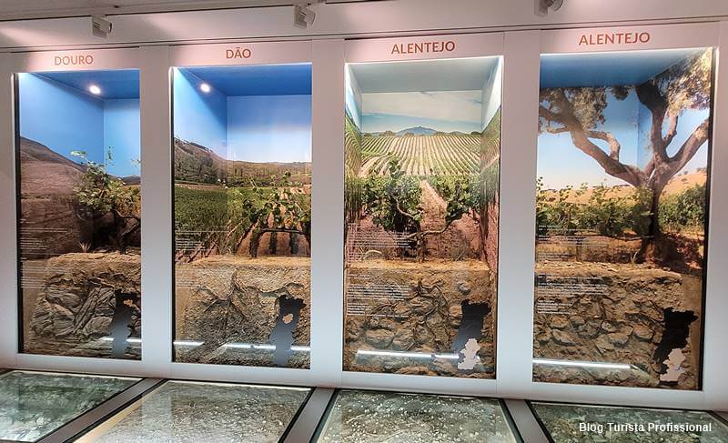 museu do vinho - WOW Porto, Portugal: os amantes do vinho vão amar!