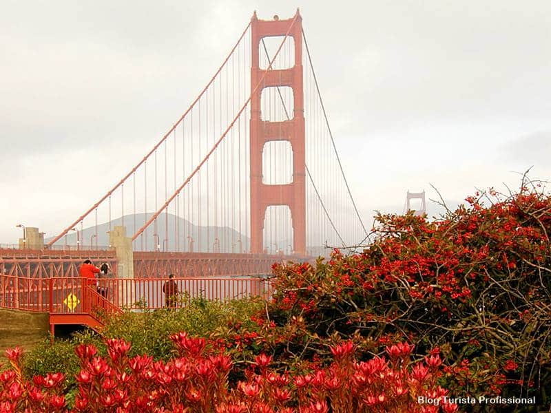 flores em san francisco