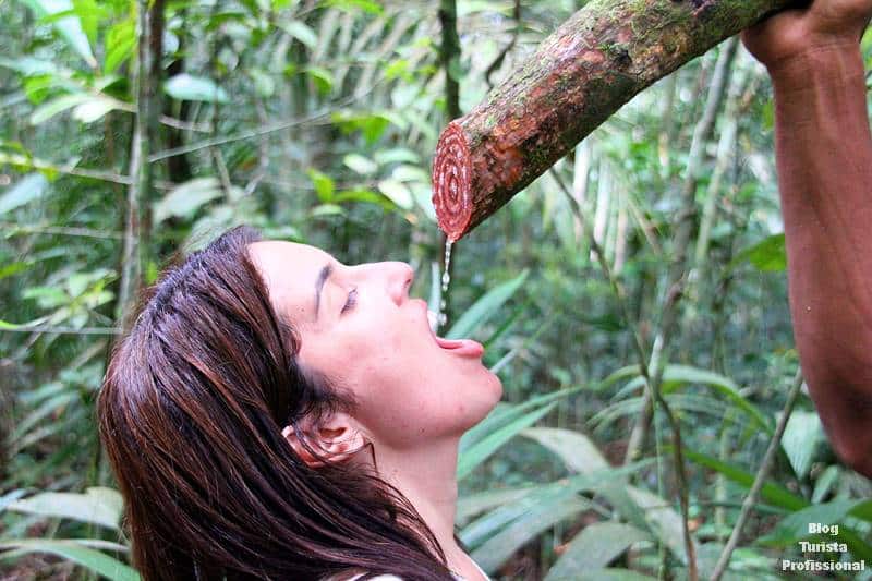 viagem para Amazônia