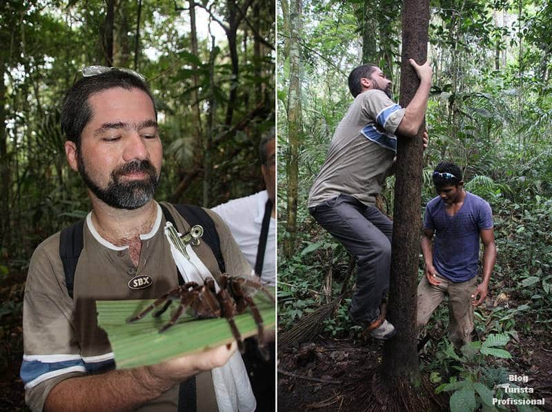 mata amazônica