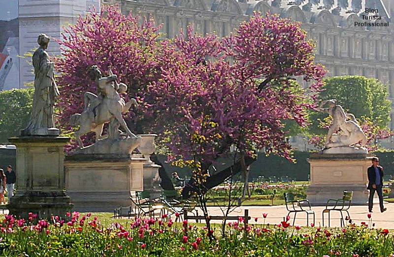 o que fazer em Paris