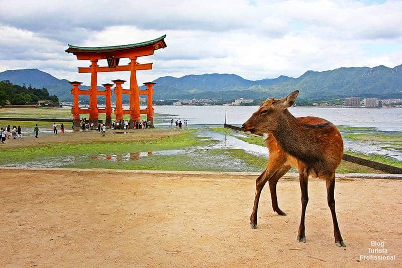 Ilha de Miyajima hiroshima japão