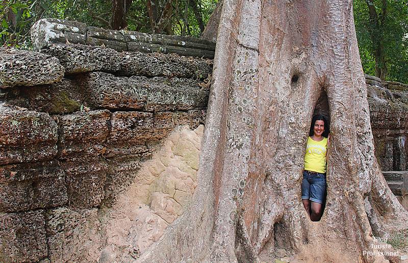 turista profissional no camboja