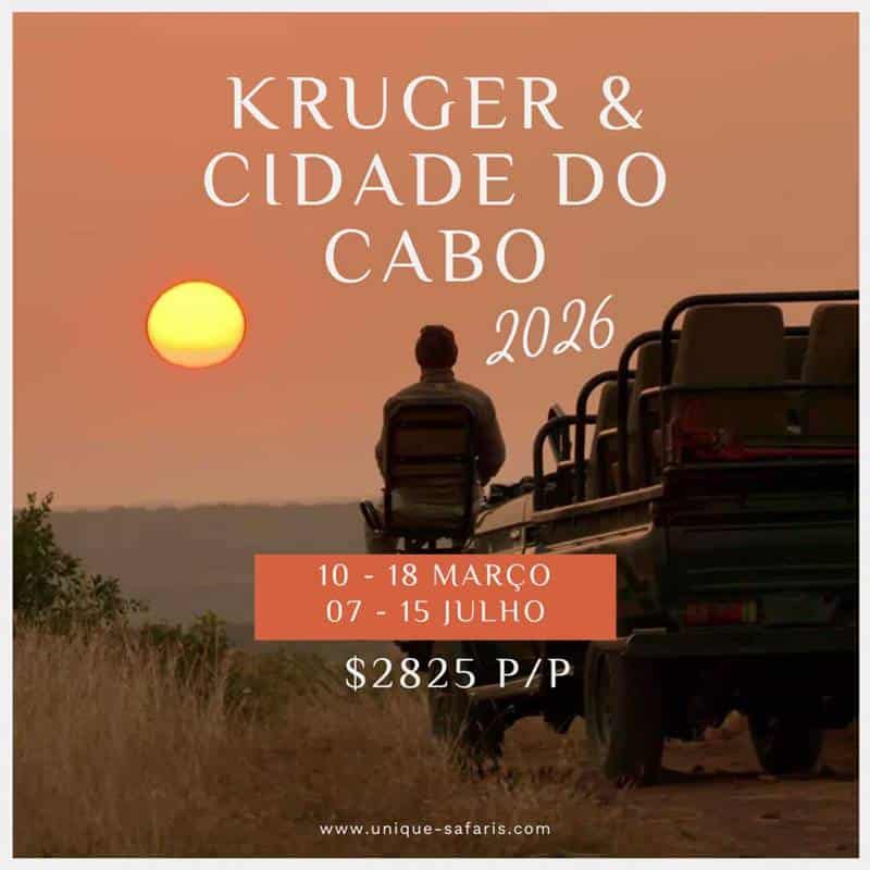 safári na África quando fazer